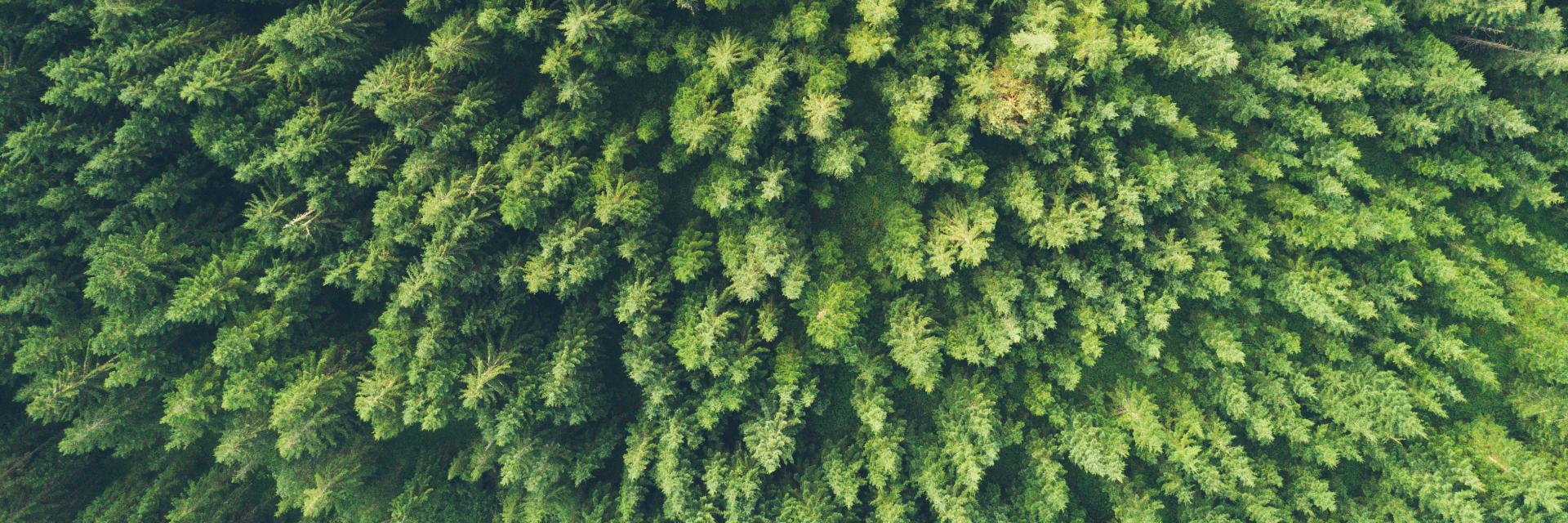 Norsk Stål sin første bærekraftsrapport lansert Norsk Stål sin første bærekraftsrapport lansert