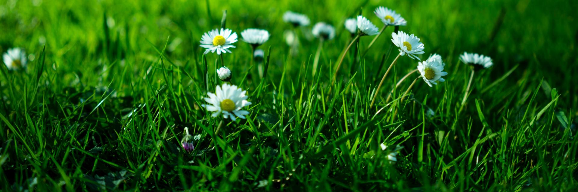 Opening Hours During Summer 2021 Opening Hours During Summer 2021