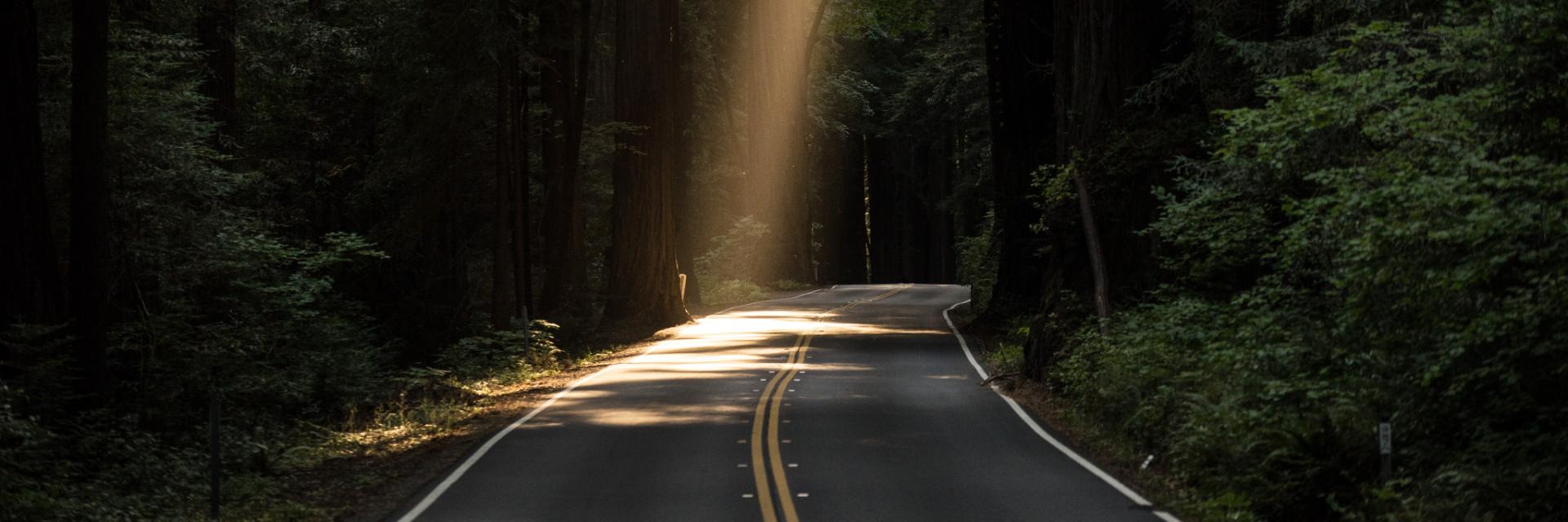 Informasjon til våre kunder - sommer 2024 Informasjon til våre kunder - sommer 2024