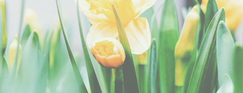 Åpningstider påsken 2021 Åpningstider påsken 2021