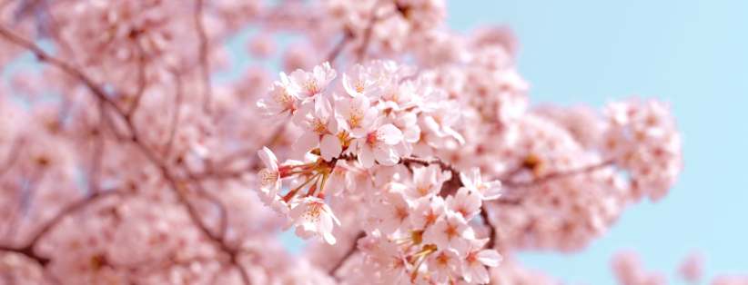 Vi er åpen på inneklemte dager i mai Vi er åpen på inneklemte dager i mai