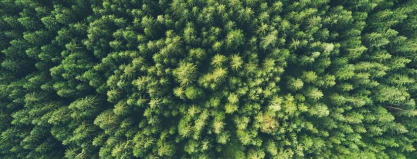 Norsk Stål sin første bærekraftsrapport lansert Norsk Stål sin første bærekraftsrapport lansert