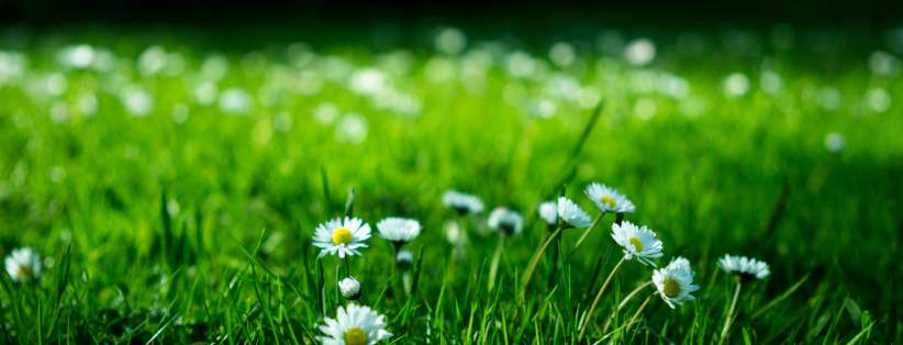 Opening Hours During Summer 2021 Opening Hours During Summer 2021