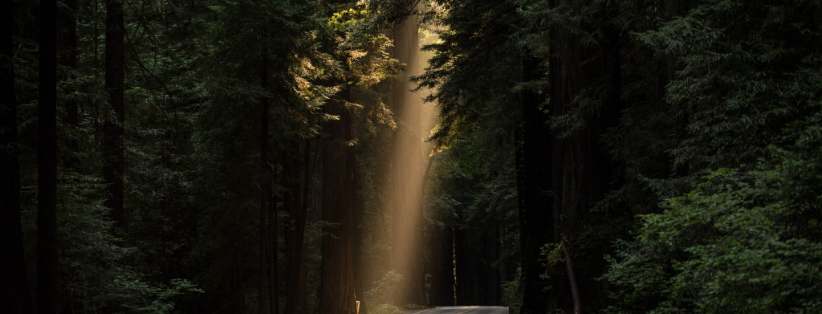 Informasjon til våre kunder - sommer 2024 Informasjon til våre kunder - sommer 2024